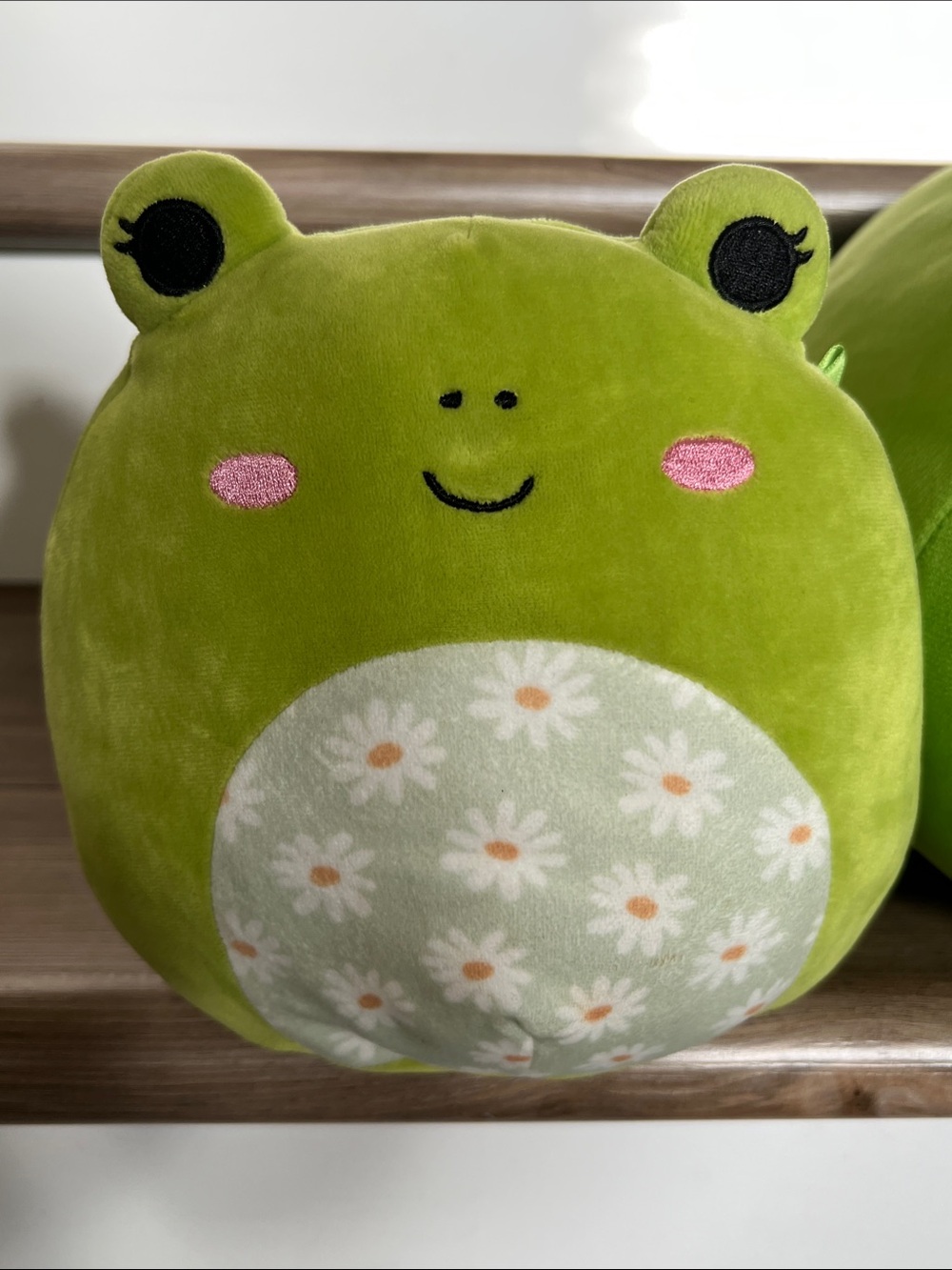 Bundle Plush Green Frog Pillow Duo